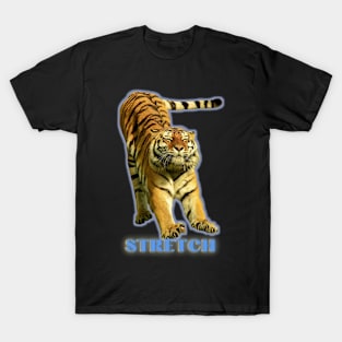 Large tiger doing a stretch exercise - blue text 1 T-Shirt